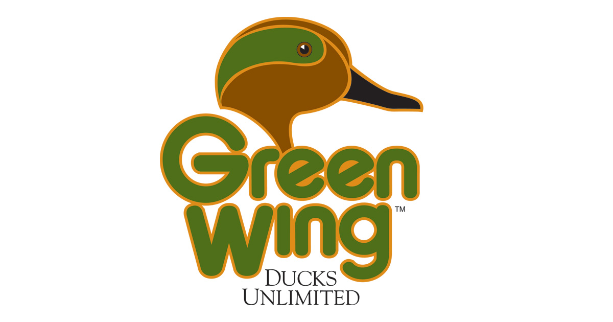 Greenwing.jpg